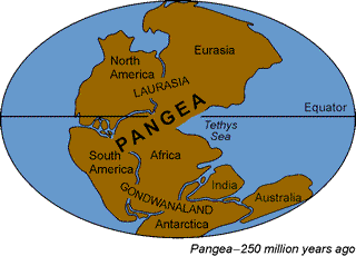Image result for pangea